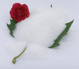 ဘယ် polyacrylamide အမျိုးအစားဟာ ကားဆေးစက်ရေကို သန့်စင်ရန် ပိုထိရောက်တာလဲ။