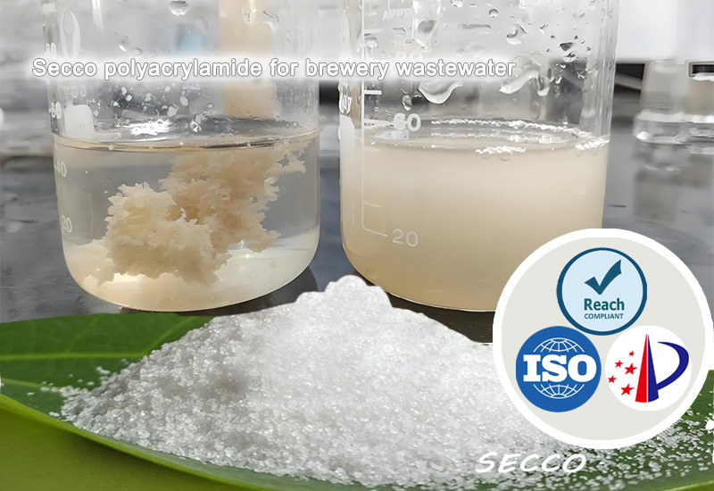 ဘီယာစက်ရုံ စွန့်စင်ရေသန့်စင်ရေးတွင် Polyacrylamide (PAM) ၏ ရွေးချယ်မှုနှင့် ထိရောက်မှု