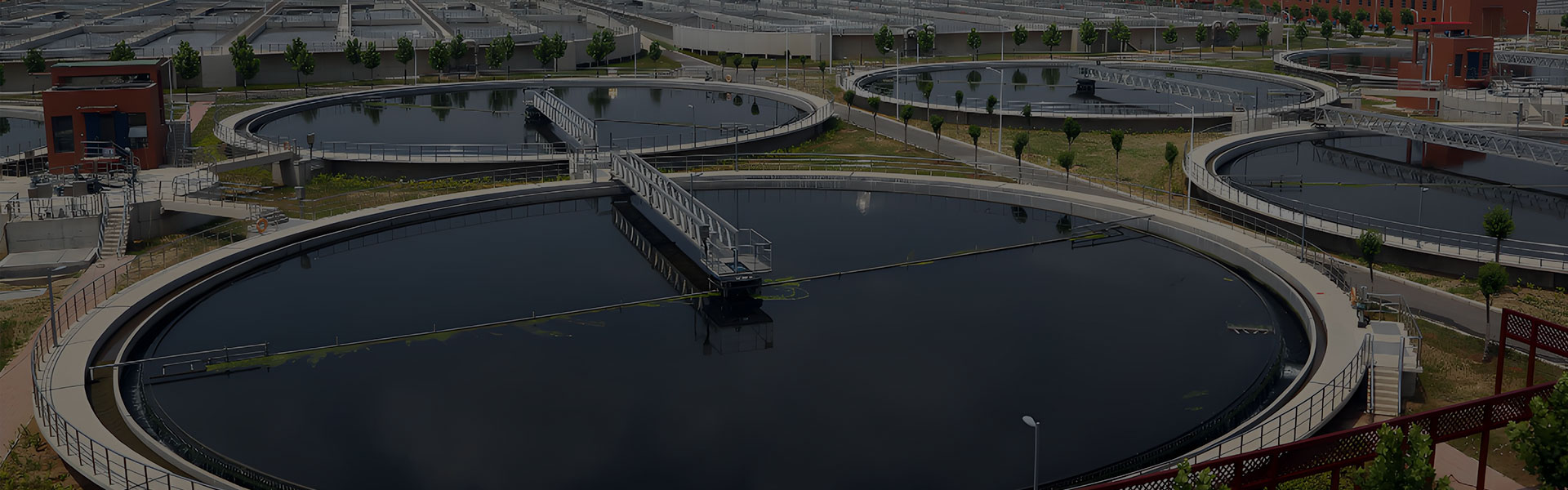 ရေသန့်စင်မှု